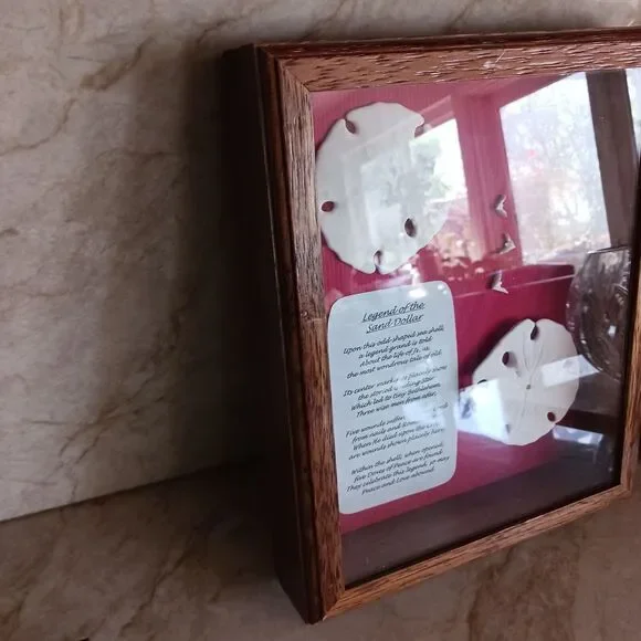VNT Legend Of The Sand Dollar Maplewood Frame RED Shadowbox Decor Art Coastal